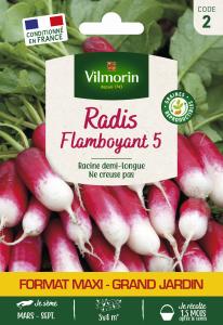 Radis Flamboyant 5 - Grand Modèle